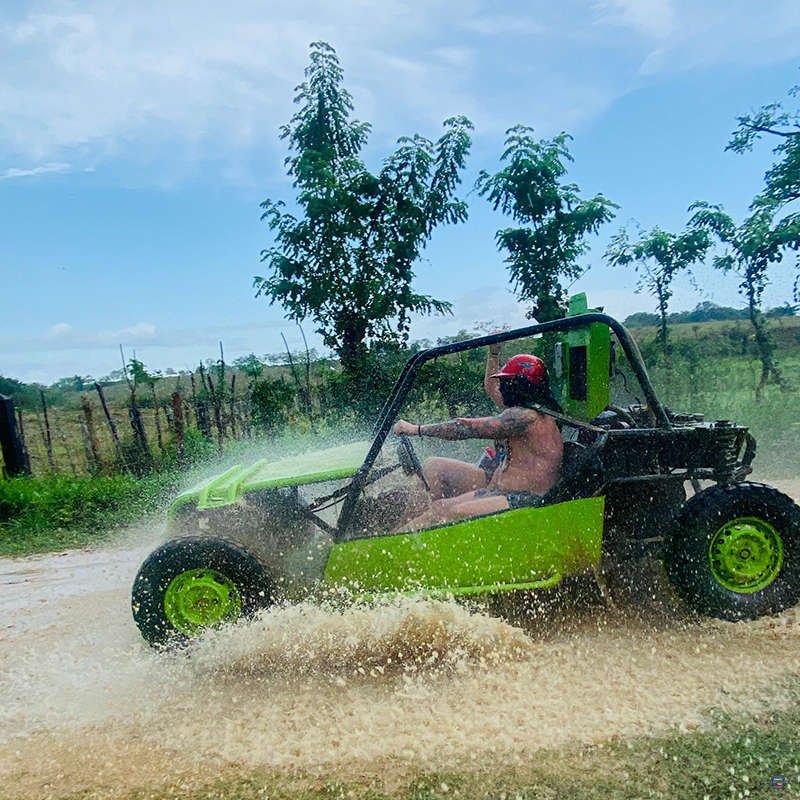 Buggy-01.jpg