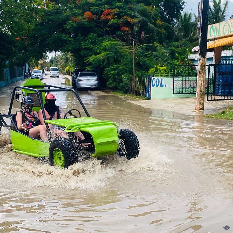 Buggy-02.jpg