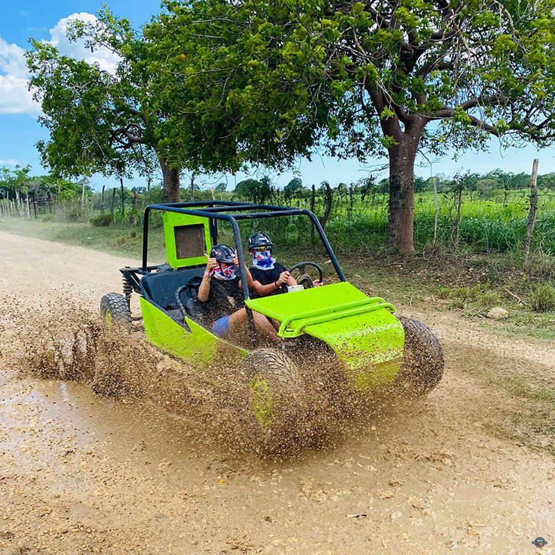 Buggy-04.jpg