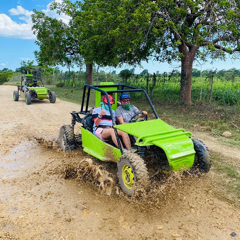 Buggy-05.jpg