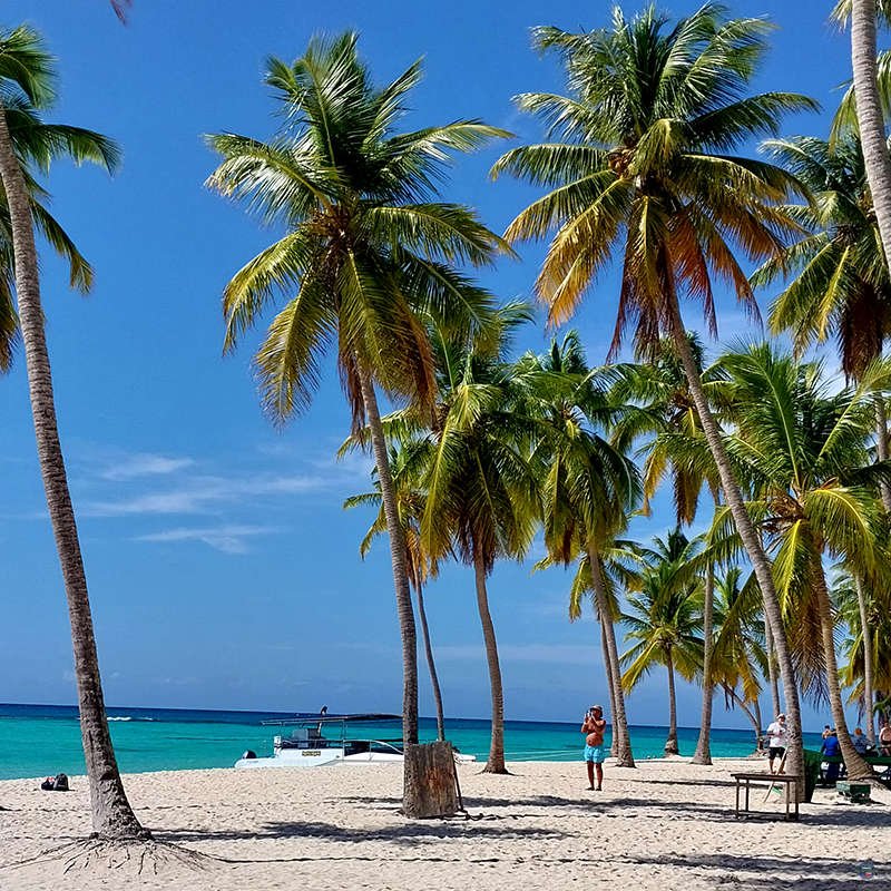 Saona-10.jpg