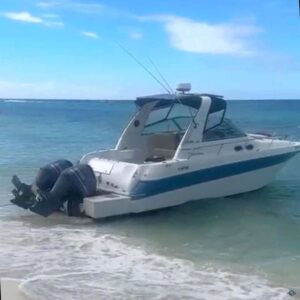 Saona Sundancer