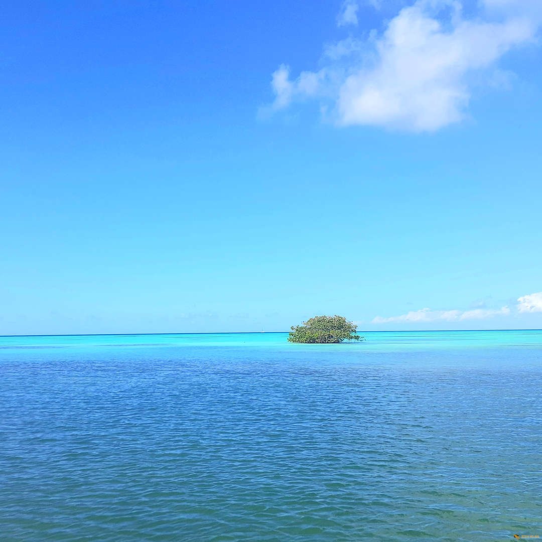 saona-08.jpg